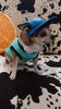 Machiko Summer Dog Hat, Protect Your Dog's Eyes From The Sun In Style!