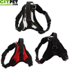 Dog Vest Pet Reflective and Comfortable Mesh Pet Dog