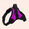 Dog Vest Pet Reflective and Comfortable Mesh Pet Dog