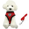Leash Set  Puppy Vest 2017