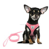 Leash Set  Puppy Vest 2017