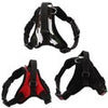 Dog Vest Pet Reflective and Comfortable Mesh Pet Dog