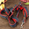 Dog Vest Pet Reflective and Comfortable Mesh Pet Dog
