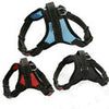Dog Vest Pet Reflective and Comfortable Mesh Pet Dog