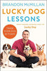 The Ultimate Dog Training Kit