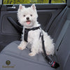 FREE! 2017 Dog Safety Seat Belt