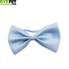 Fashion Cute Necktie for Cat