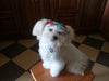 Machiko Summer Dog Hat, Protect Your Dog's Eyes From The Sun In Style!