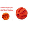 Rubber Watermelon Pattern Ball Funny Natural Non-toxic