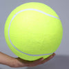 Big Inflatable Tennis Ball for Dog !!!