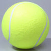 Big Inflatable Tennis Ball for Dog !!!