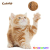 Pet Cat Natural Catnip Treat Ball Favor Home Chasing Toys