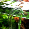 Aquarium CO2 Diffuser Check Valve U Shape Glass Tube Suction Cup