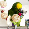 Conure Loofah Sponge Handmade Parrot Toys With Bell 2017