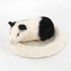 Hamster  Small Animal Cage Bed