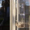 Clear Window Squirrel Proof Bird Feeder