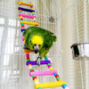 New Arrival Bird Parrot Colorful Climbing Ladder