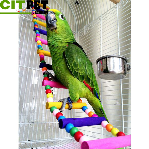 New Arrival Bird Parrot Colorful Climbing Ladder