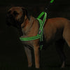 No Pull Nylon Quick Fit Reflective Stitching Dog Harness