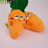 Plush Sound Fruit Vegetable Toys