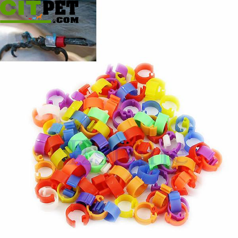 100X Chicken Hen Pigeon Leg Poultry Dove Bird Chicks Duck Parrot Clip Rings Band