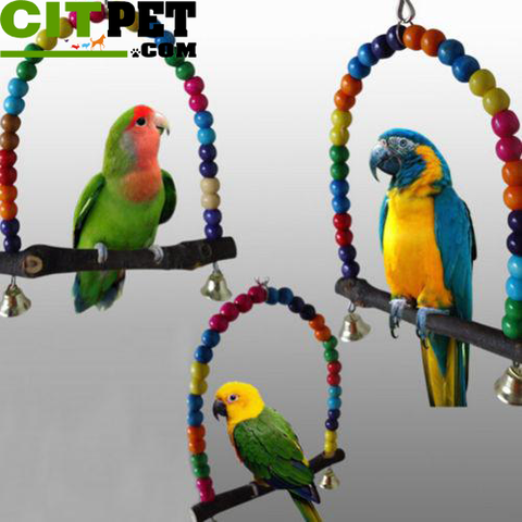 Colorful Parrot Swing Bird Cage