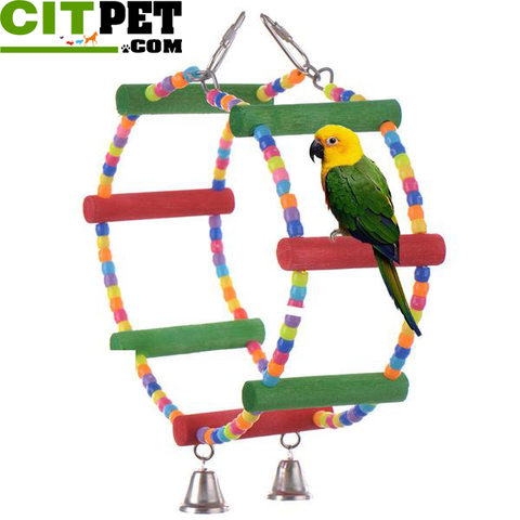 Parrot Perroquet Macaw Cockatiel Budgie Scratcher Parrots Climb Circular Hanging Swing Hamster Rats Toy