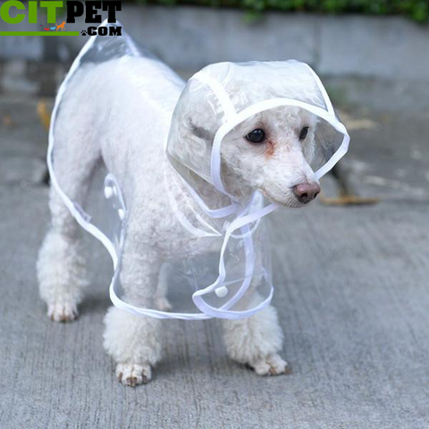 Dog Raincoat Pet Clothing Pet Transparent