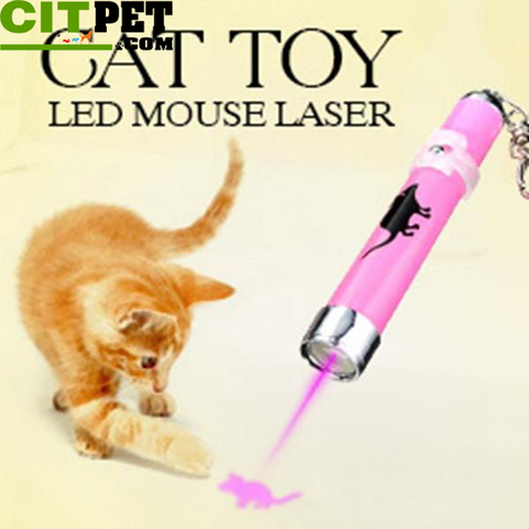 Cat Toys LED Laser Pointer light Pen With Bright Animation Mouse Shadow