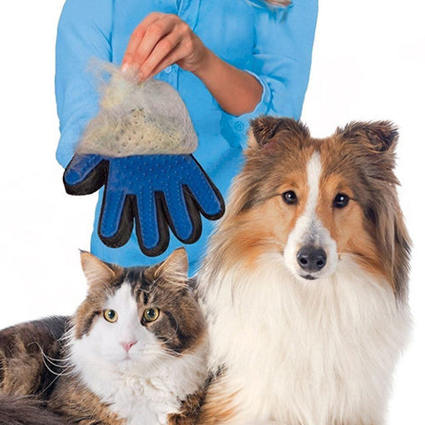 Dog grooming glove pets hotsell at home