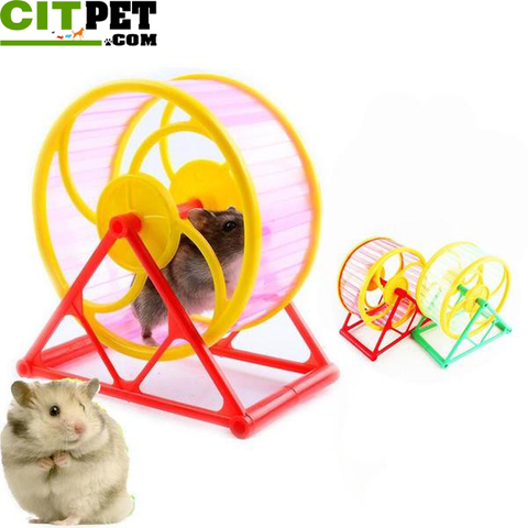 Pet Wheel Toy Play With holder Plastic Rodent Hamster