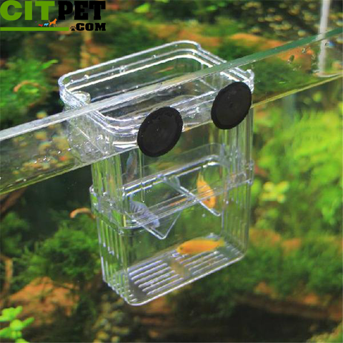 High Clear Fish Breeding Box Aquarium Breeder Box Double Guppies Hatching Incubator Isolation