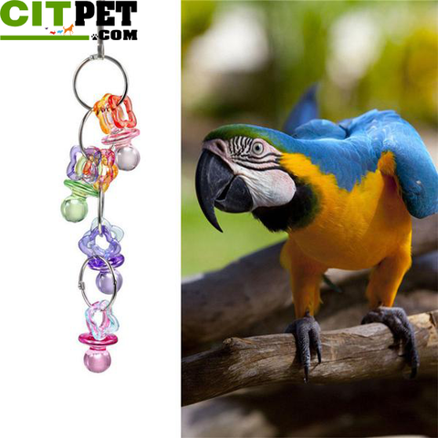 Candy color peck chewing parrot toys