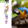 Candy color peck chewing parrot toys