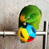 Pet Bird Bites Toy Parrot Chew Ball Swing Cage Hanging Cockatiel