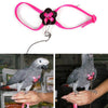 Parrot Adjustable Bird Harness Leash Anti-bite Multicolor Light Soft