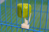 Pet Parrot Fruit Fork Birds set on the Cage Convenient Feeder Supplies Device