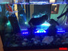 LED Aquarium Fish Tank Submersible Light Air Bubble Lamp Remote