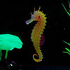 Artificial Aquarium Sea Horse Hippocampus Ornament Fish Tank Jellyfish Decor New