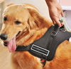 Big Dog Soft Reflective No Pull Black Harness Size L 26 36inch