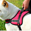 Big Dog Soft Reflective No Pull Black Harness Size L 26 36inch