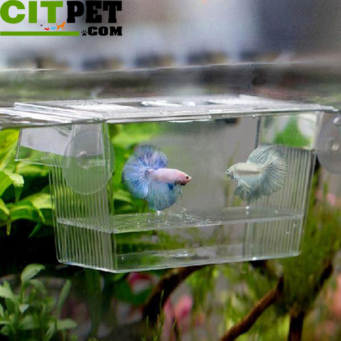 728 ml Transparent Fish Breeding Box Aquarium Breeder Box