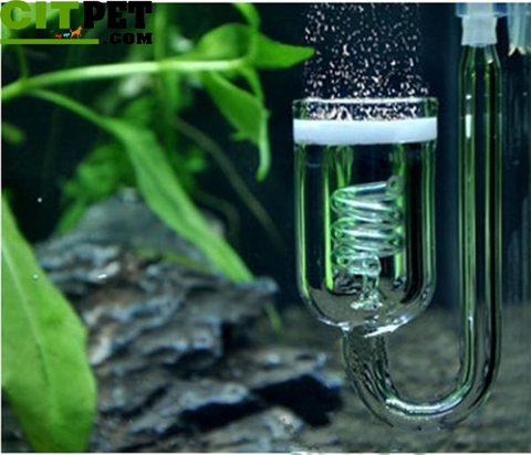 Aquarium CO2 Diffuser Check Valve U Shape Glass Tube Suction Cup