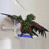 Purple Star Folding Parrot Bath Shower Standing Platform Rack Parrot Standing Shower Perch Parakeet Bird Toy NB0286