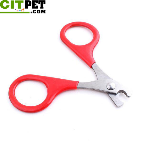 Pet Product Nail Scissors Cats 8cm 2017