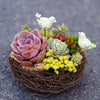 1PC Cute Handmade Vine Brown Bird Nest House Home Nature Craft Holiday Decoration