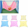 1PC Pet Hammock For Hamster