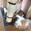 Tree Scratching Post Toy for Cats