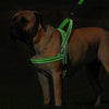 No Pull Nylon Quick Fit Reflective Stitching Dog Harness