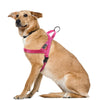 No Pull Nylon Quick Fit Reflective Stitching Dog Harness